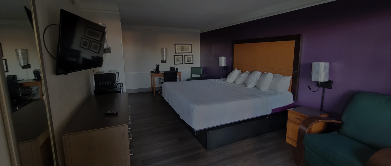 Palm bliss hotel Executive Single Room 